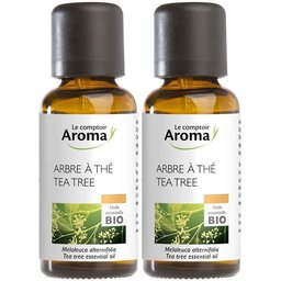Le comptoir Aroma Arbre À THÉ