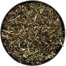 Tisane Piloselle plante Hieracium pilosella.