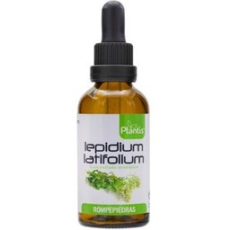 Lepidium Latifolium Extract Stone Breaker 50 ml