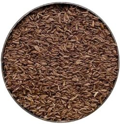 Tisane Carvi semence ENTIERE 1 KILO Carum carvi.