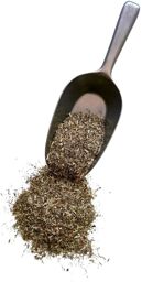Tisane Caille lait (Gaillet) plante 1 KILO Galium verum.