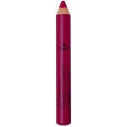 Crayon Rouge Lèvres Violine 2g