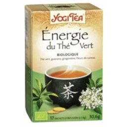 Infusion Ayurvédique Energie du Thé Vert Bio 17 sachets de 1,8g