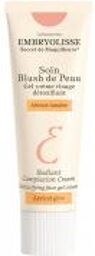 Secret de Maquilleurs Soin Blush de Peau Détoxifiant 50 ml - Tube 50 ml
