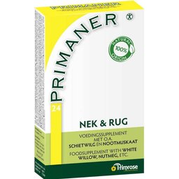 Primaner