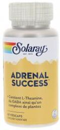 Adrenal Success 60 Capsules Végétales - Pot 60 capsules