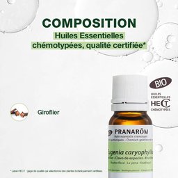 Pranarôm - Giroflier Bio - Huile Essentielle Chémotypée - Hygiène Bucco Dentaire & Santé Digestive - 100 % Pure Et Naturelle - Hect - 10 ml