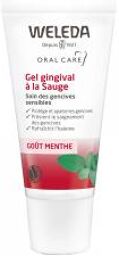 Gel Gingival à la Sauge - 30 ml - Tube 30 ml