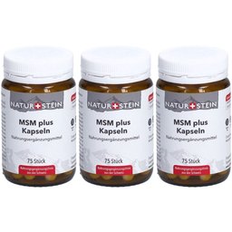 Naturstein MSM plus