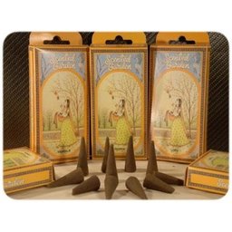 Musk Cône d'encens Jardin parfumé 1pc
