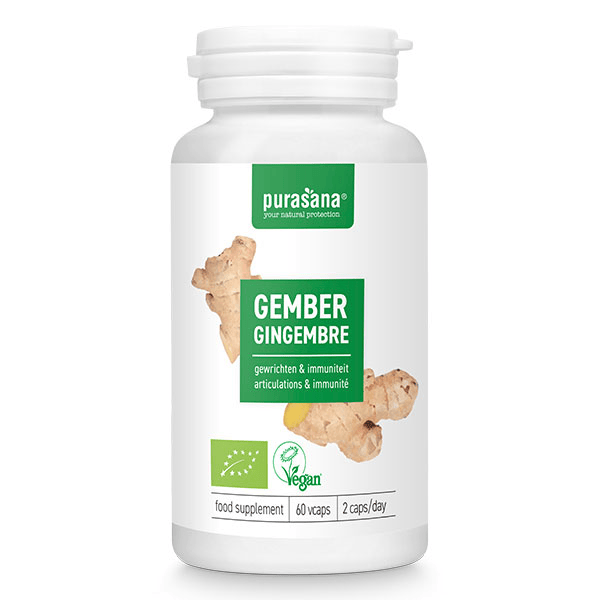 Gingembre Bio - 250 mg - 60 Vcaps