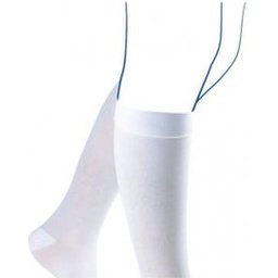 Ch/Venofl2Clinic A/Stase N Blc2