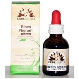 Phytoblaste groseille Nigrum 50Ml