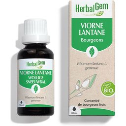 - Viorne Bio - Complément Alimentaire  - Extrait De Bourgeon Frais - Pour Voies Respiratoires -  - 30 ml