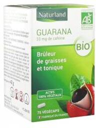 Guarana Bio 75 Végécaps - Flacon 75 Végécaps