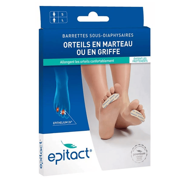 Barrettes Sous Diaphysaires Epithelium Femme