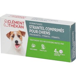Clement Thekan Vermifuges Vers Plats Et Ronds Chien 4 Comprimés