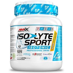 Performance Isolyte Sport Drink Mango 510g
