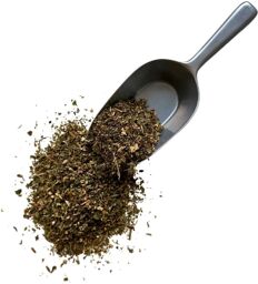 Tisane Ortie Blanche 1 KILO (Lamier Blanc) sommité Lamium album