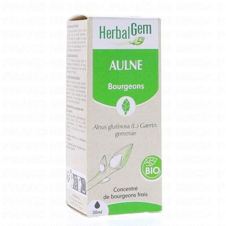 Concentré de bougeons frais - Aulne bio 30ml