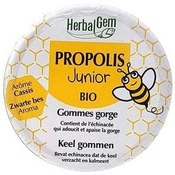 Propolis Jun Gom Bio 45G