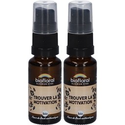 Trouver La Motivation Spray