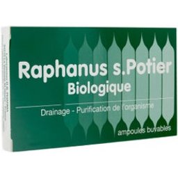 Raphanus S. Potier Biologique 12 Ampoules