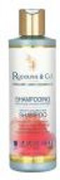 Shampoing Spécifique pour les Cheveux Colorés Bio 250 ml - Flacon