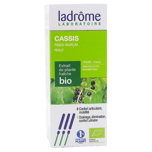 Extraits de Plantes Fraîches Cassis Bio 50ml