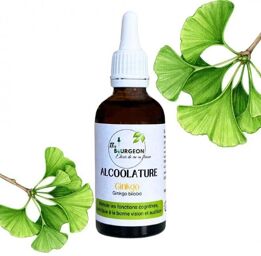 Alcoolature de Ginkgo - Ginkgo biloba - Flacon de 50ml