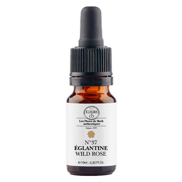 ELXIRS&CO - Unitaire EGLANTIER  - 10ML