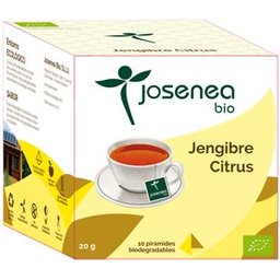 Irati Jengibre Jengibre Citrus Bio Caja 10 Pir.