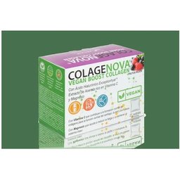 Vegan BoosThé Vert Citron 21 Sachets