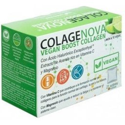 Vegan BoosThé Vert Citron 21 Sachets