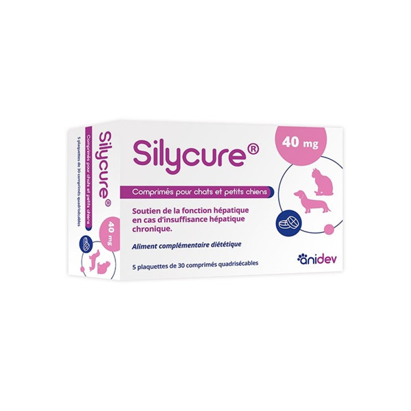 Silycure 40mg 150 Comprimés