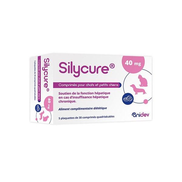 Silycure 40mg 150 Comprimés