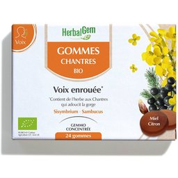Gommes Chantres