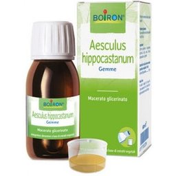 Aesculus Hippocastanum 60ml