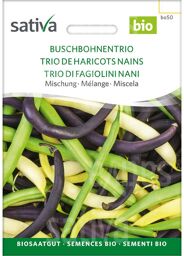 Trio de Haricots Nains - Semences BIO