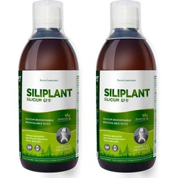 Silicium Laboratories Siliplant Silicium G7 2 x 500 ml
