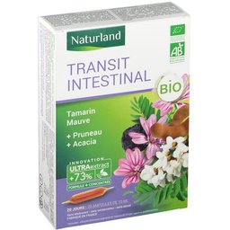 Transit Intestinal