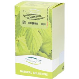 Pharmaflore Bourdaine (Frangule) écorce coupée