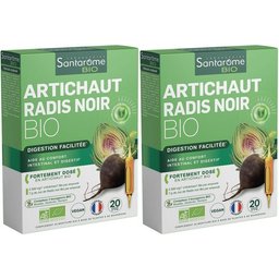 Bio Artichaut et Radis noir bio
