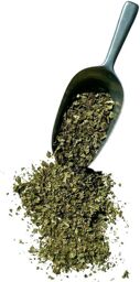Tisane Chardon Marie plante 250 GRS Silybum marianum