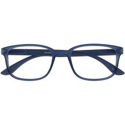 Lunettes I Need You Rainbow +2 1ut