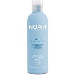 Shampooing Détox Éliminant Impuretés 250ml
