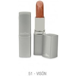 Lip Make-up N°65 5g