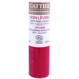Stick Levres Anti Age