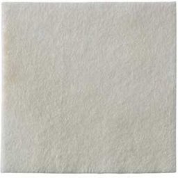 Alginate Pans Absorban 10X10cm 10uts