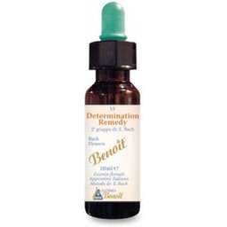 Alchimie Benoit Détermination Remède 10Ml
